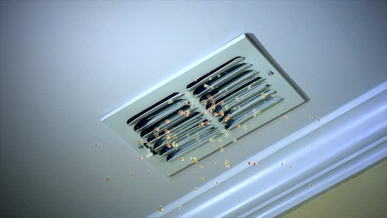 Best HVAC Maintenance and Cleaning  in Homewood, SC