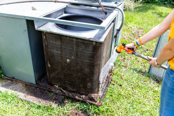 Air Duct Mold Removal in SC