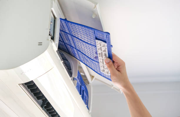 Best Ductwork Cleaning Services  in Homewood, SC